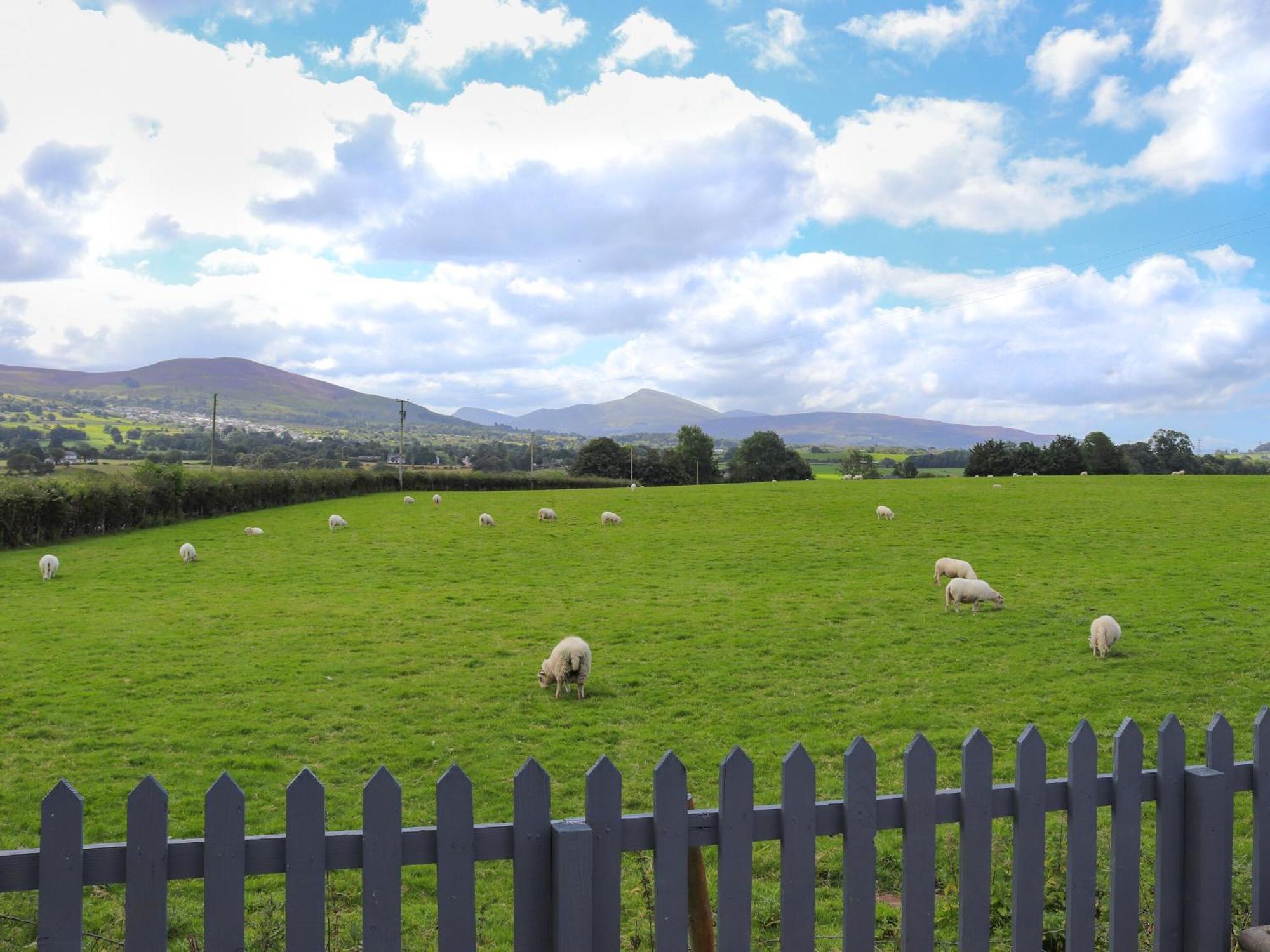 Pencefn Cottage Llanddeiniolen Eksteriør billede